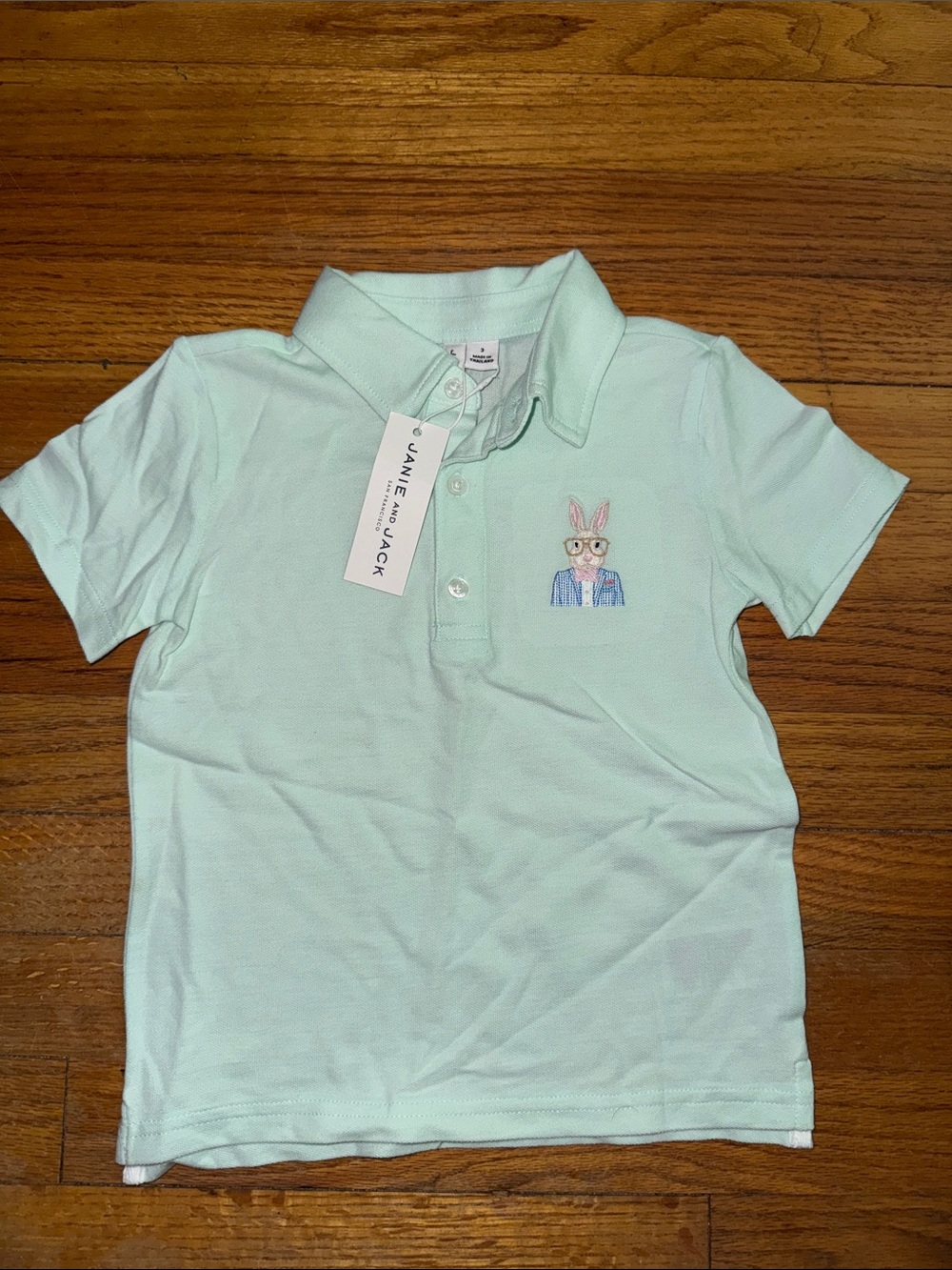 Charming Janie and Jack Mint Green Polo with Bunny Embroidery NWT